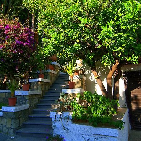 Hotel Terme Castaldi Forio di Ischia Exterior foto